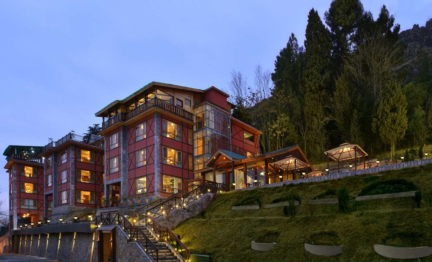 golden tulip